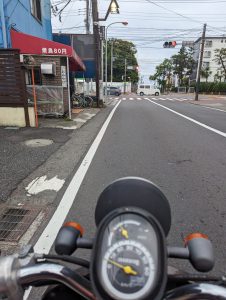 今夜はマンゴスチン