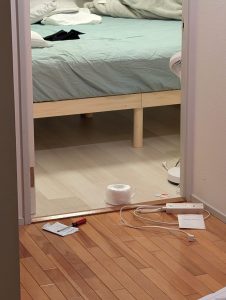 今夜のごはん