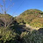 オーナー様からのコメント