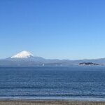 オーナー様からのコメント