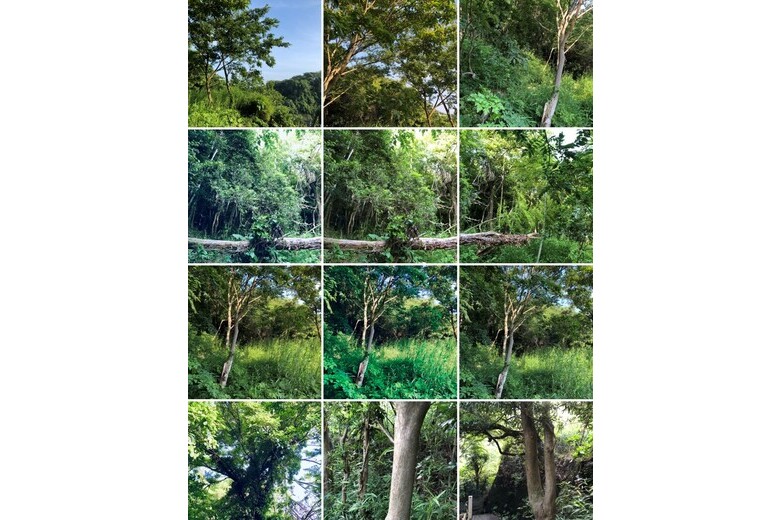 極楽寺の遊び心【土地】