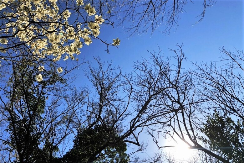 極楽寺の遊び心【土地】
