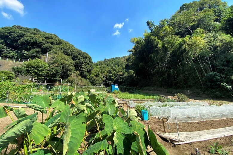  極楽寺4丁目