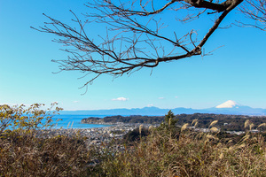 浄明寺の奥座敷【土地】