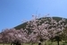 番外編│温泉郷の京庭別荘【伊豆高原│戸建】