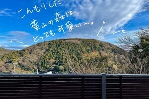 自然全開、空へスケープ　　【葉山町 中古戸建】