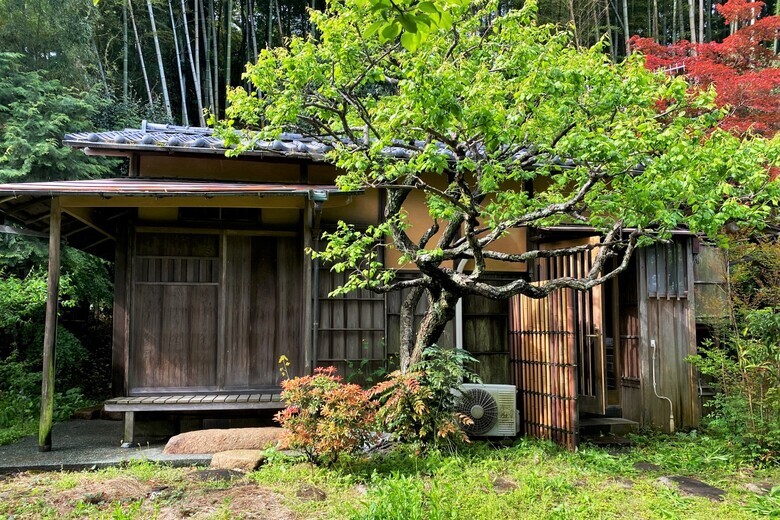 最も贅沢な住まいかも【鎌倉 戸建】