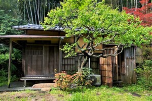 最も贅沢な住まいかも【鎌倉 戸建】