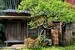 最も贅沢な住まいかも【鎌倉 戸建】