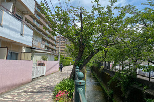 川辺の帰り道【鎌倉│マンション】