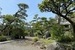 【動画公開】この麗しき日本庭園