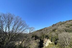 ともに暮らす家【葉山　戸建】