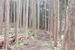 ヒミツの隠れキャンプ場433坪【土地】