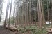 ヒミツの隠れキャンプ場433坪【土地】