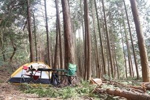 ヒミツの隠れキャンプ場【相模原　土地】433坪