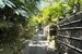 よし、緑の中に住む【戸建】