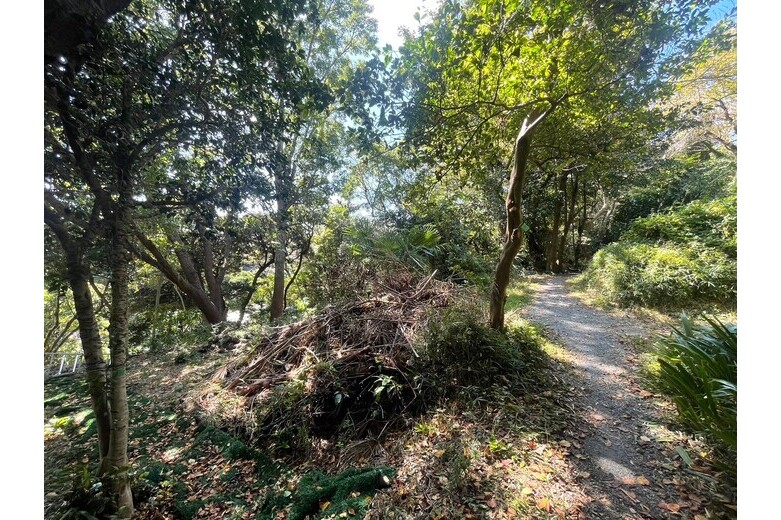よし、緑の中に住む【戸建】