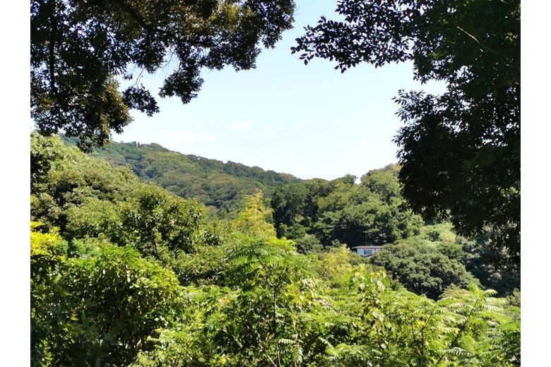 よし、緑の中に住む【戸建】