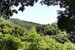 よし、緑の中に住む【戸建】