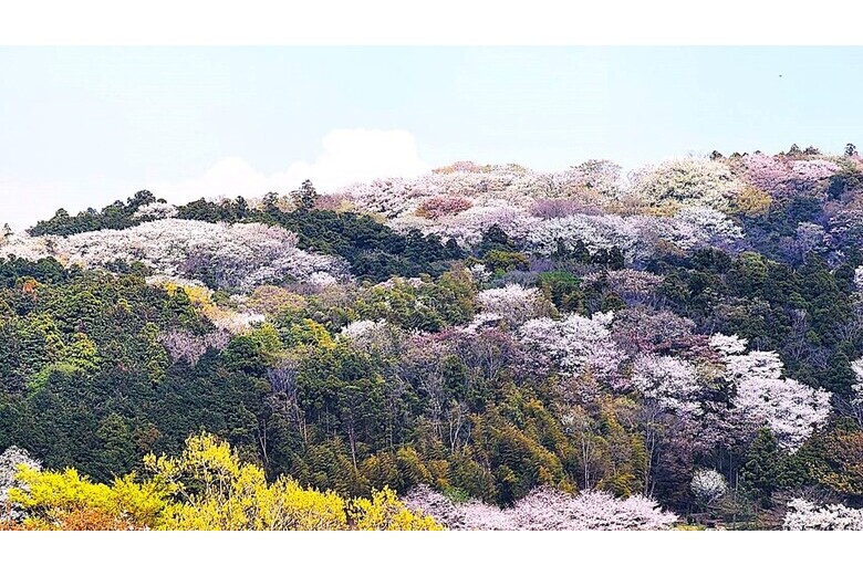 よし、緑の中に住む【戸建】