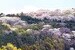 よし、緑の中に住む【戸建】