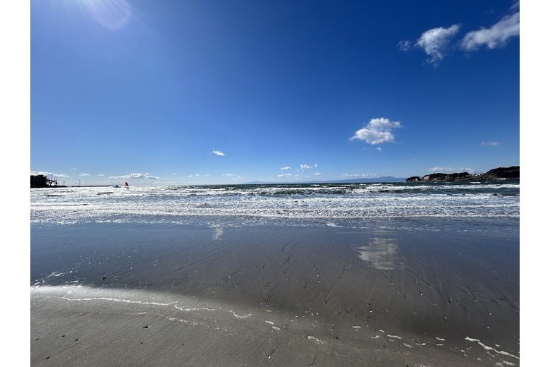 〈動画公開〉堂々と古都鎌倉の真髄【戸建】