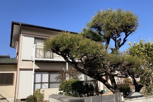 浄明寺　四季を感じて　【リノベ向き戸建】