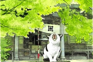 大きなあくびがでてしまう、そんな鎌倉に住みませんか⁈【土地】