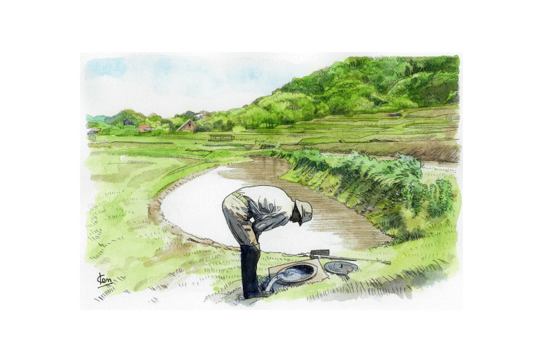 海を超えた葉山の魅力～里山木古庭【土地】