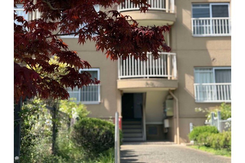 <価格変更>グリーンハイツと言ったものだ【マンション】