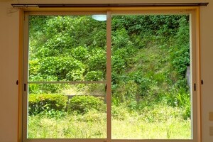 緑が目に沁みる【戸建】