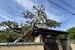 波音と歴史が響くシチリの古民家　【戸建】