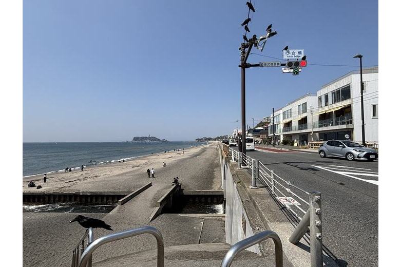 〈価格変更〉とっておきの七里ガ浜!【土地】