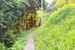 緑のトンネルの先に【戸建】