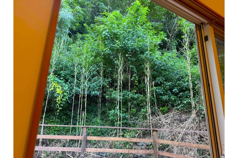 detached 桜山5丁目