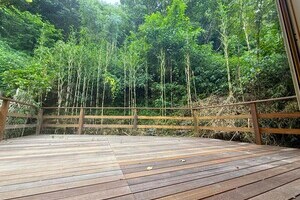 ぱっ！と見ツリーハウス【戸建】