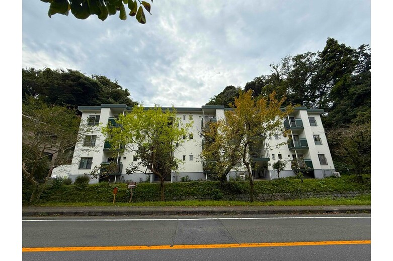 apartment 常盤ハイツ