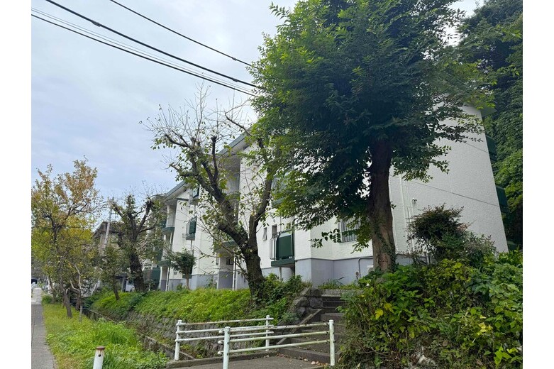 apartment 常盤ハイツ