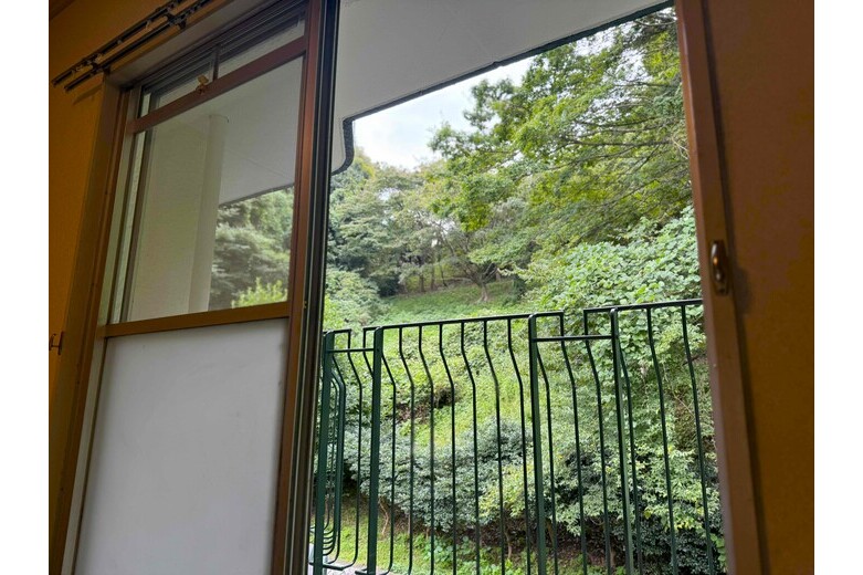 apartment 常盤ハイツ