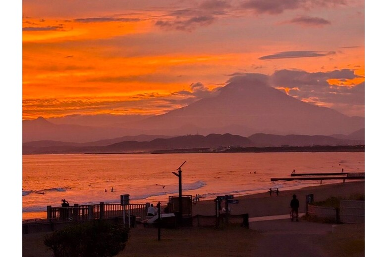 apartment 鵠沼海岸5丁目 レーベン鵠沼海岸BLUENOVA