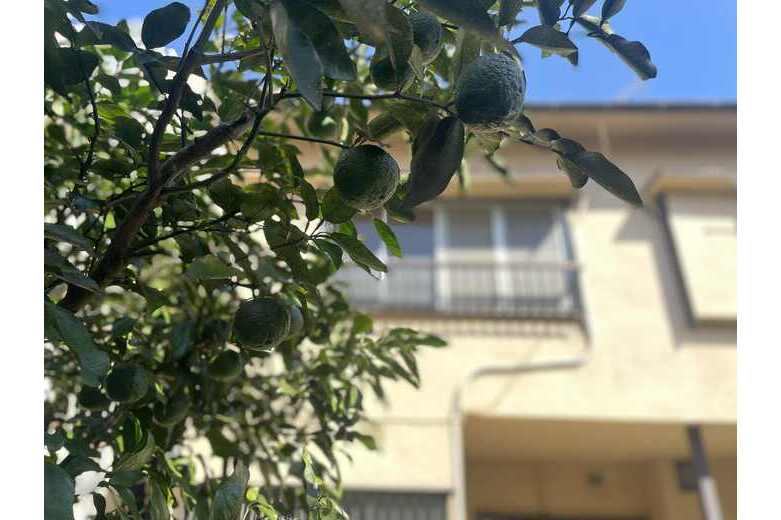 apartment 由比ガ浜3丁目