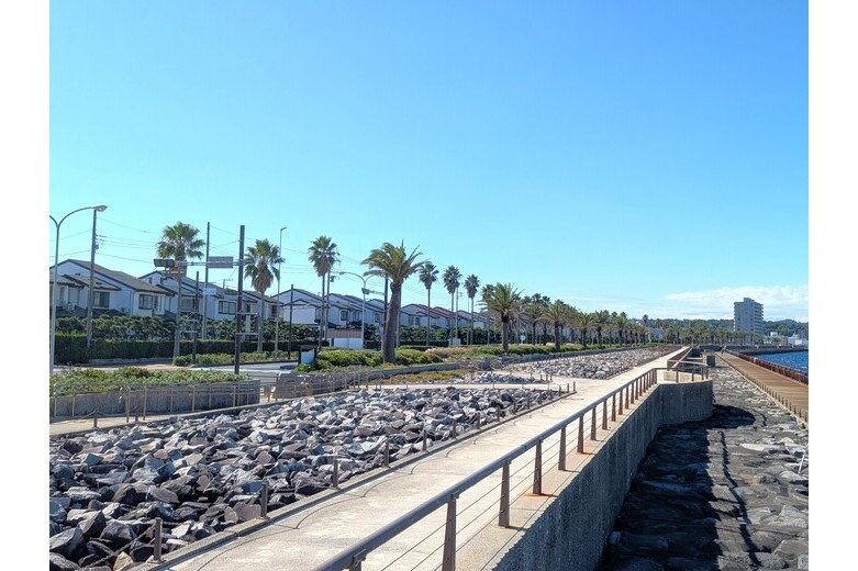 さあ、海の見える丘へ【土地】