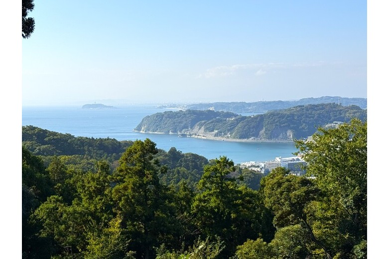 丘の上のアメリカンハウス【リノベ戸建】