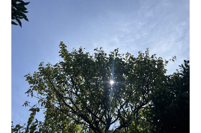 ここ、好きに使っていいよ 【中古戸建】