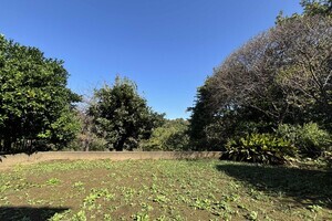 茶室の在る家・お庭編【戸建】