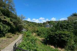 （動画あり）緑眩しい鎌倉の隠れ里【古家付土地】