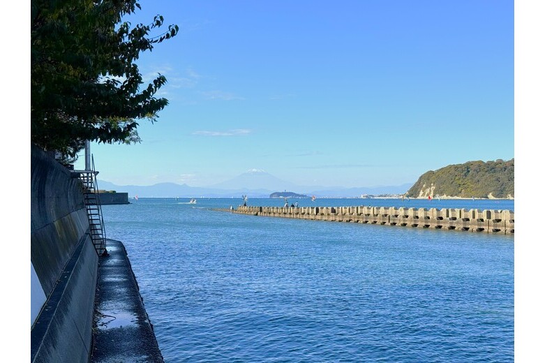 窓の外は逗子海岸【戸建】