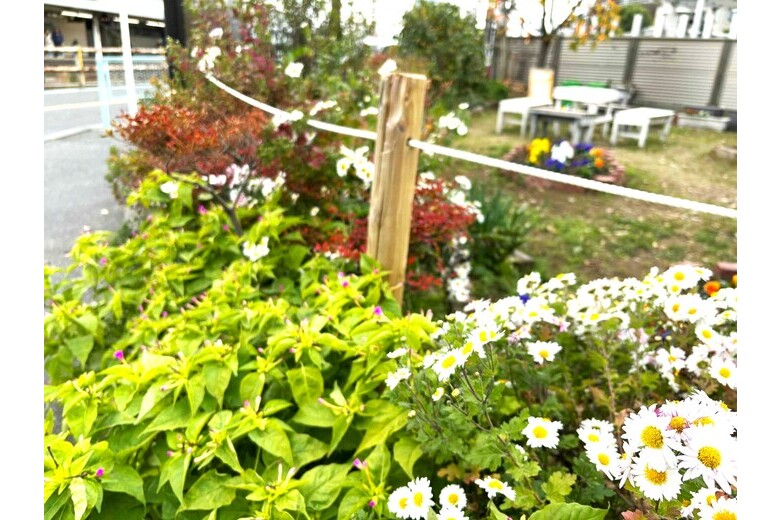 detached 山の根２丁目