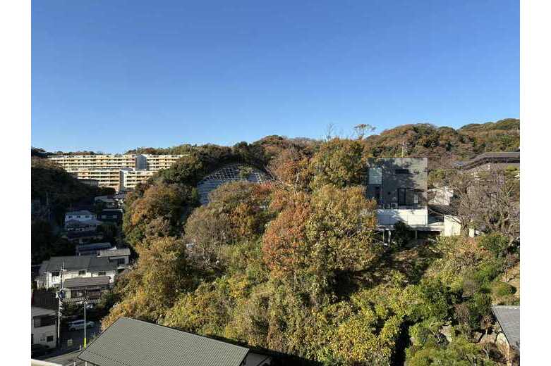 apartment 沼間２丁目紅葉台マンション
