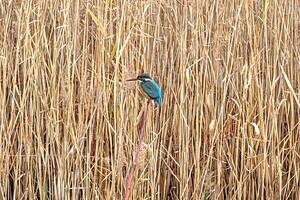 湘南発、自由行き【新築戸建】